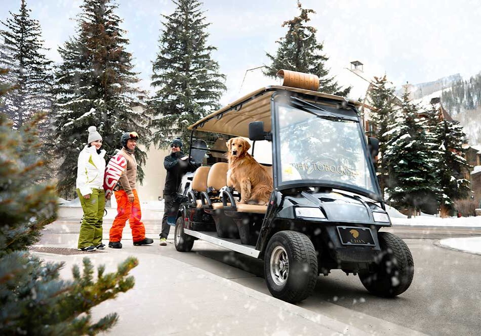 TheLion_Toboggan_SnowAndTree